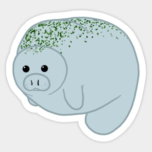 Boopable Manatee Sticker